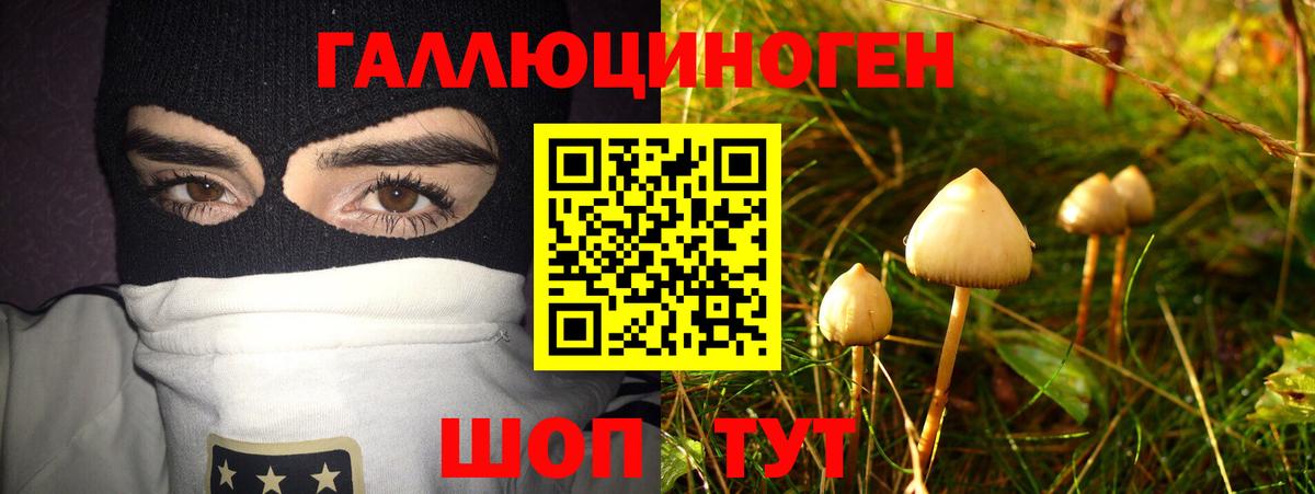 Псилоцибиновые грибы мицелий  Вход с VPN  Галлюциногенные грибы мицелий  Пенза 