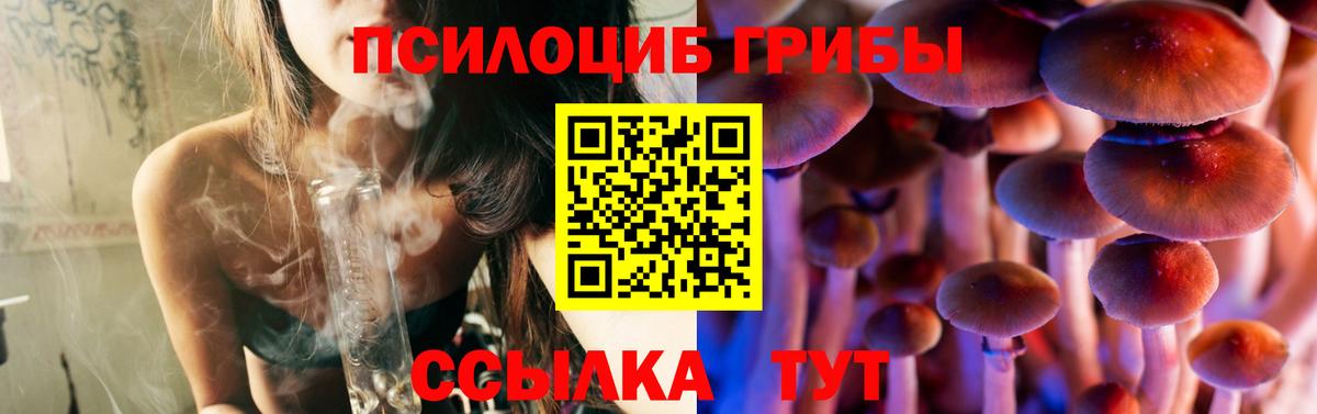 Галлюциногенные грибы прущие грибы Пенза